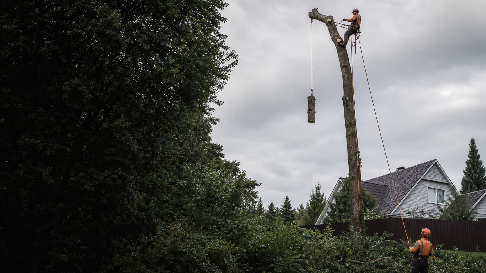 Бригада арбористов завешивает ветку на частном участке — Раменское